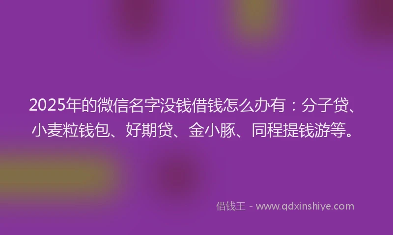 2025年的微信名字没钱借钱怎么办有：分子贷、小麦粒钱包、好期贷、金小豚、同程提钱游等。