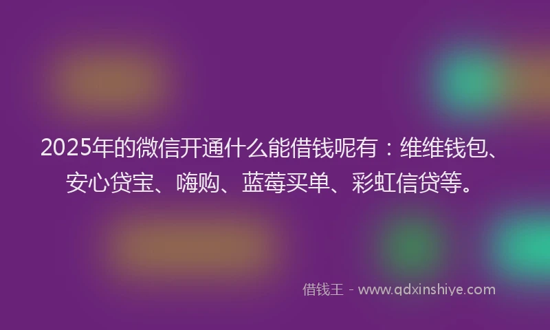 2025年的微信开通什么能借钱呢有：维维钱包、安心贷宝、嗨购、蓝莓买单、彩虹信贷等。
