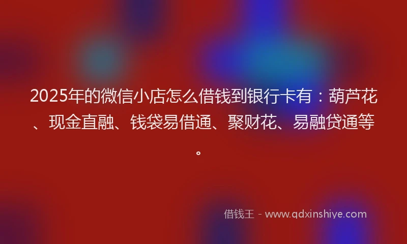 2025年的微信小店怎么借钱到银行卡有：葫芦花、现金直融、钱袋易借通、聚财花、易融贷通等。