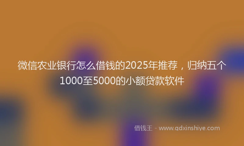 微信农业银行怎么借钱的2025年推荐，归纳五个1000至5000的小额贷款软件