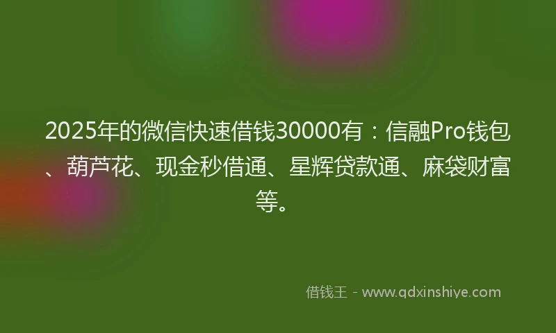 2025年的微信快速借钱30000有：信融Pro钱包、葫芦花、现金秒借通、星辉贷款通、麻袋财富等。