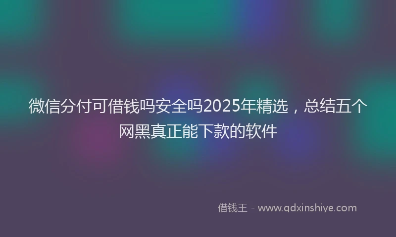 微信分付可借钱吗安全吗2025年精选，总结五个网黑真正能下款的软件