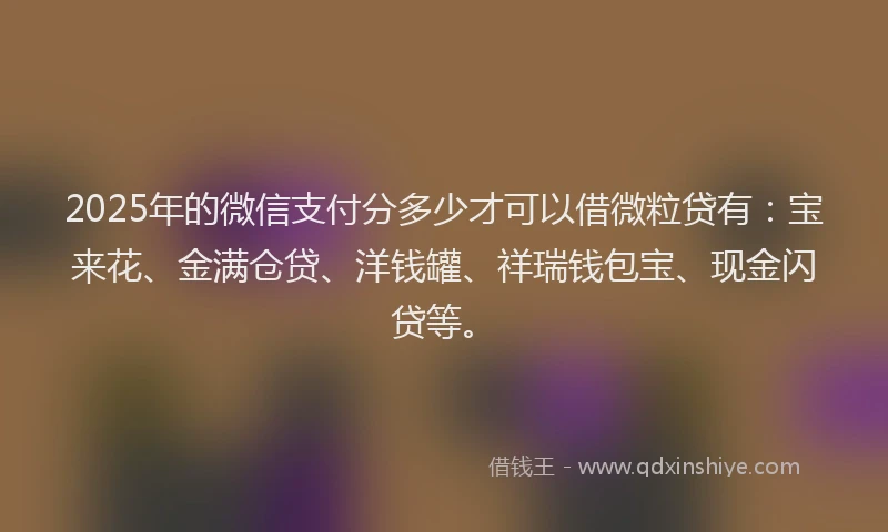 2025年的微信支付分多少才可以借微粒贷有：宝来花、金满仓贷、洋钱罐、祥瑞钱包宝、现金闪贷等。