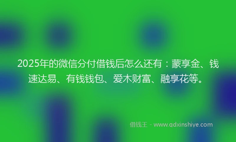 2025年的微信分付借钱后怎么还有：蒙享金、钱速达易、有钱钱包、爱木财富、融享花等。