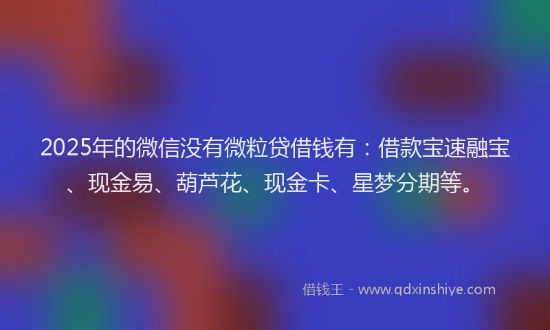 2025年的微信没有微粒贷借钱有：借款宝速融宝、现金易、葫芦花、现金卡、星梦分期等。