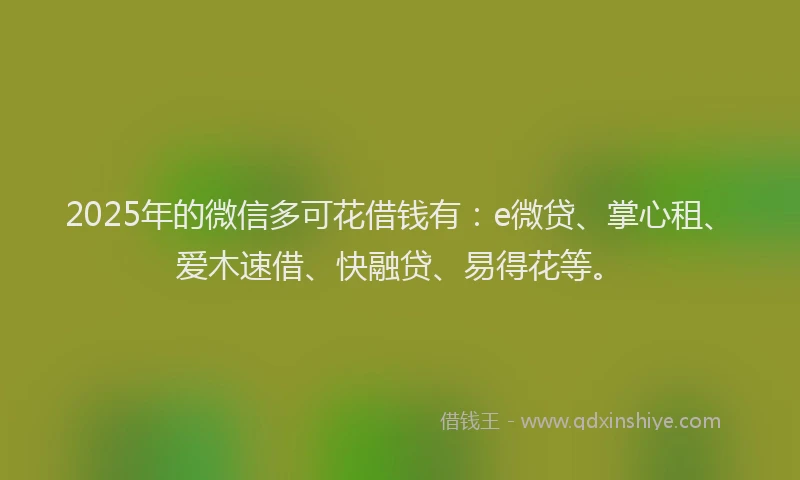 2025年的微信多可花借钱有：e微贷、掌心租、爱木速借、快融贷、易得花等。