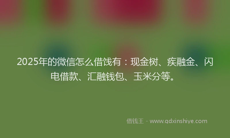 2025年的微信怎么借饯有：现金树、疾融金、闪电借款、汇融钱包、玉米分等。