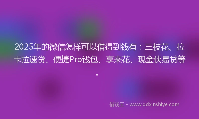 2025年的微信怎样可以借得到钱有：三枝花、拉卡拉速贷、便捷Pro钱包、享来花、现金侠易贷等。