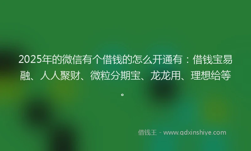 2025年的微信有个借钱的怎么开通有：借钱宝易融、人人聚财、微粒分期宝、龙龙用、理想给等。