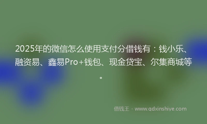 2025年的微信怎么使用支付分借钱有：钱小乐、融资易、鑫易Pro+钱包、现金贷宝、尔集商城等。