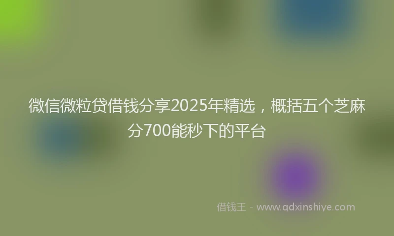 微信微粒贷借钱分享2025年精选，概括五个芝麻分700能秒下的平台