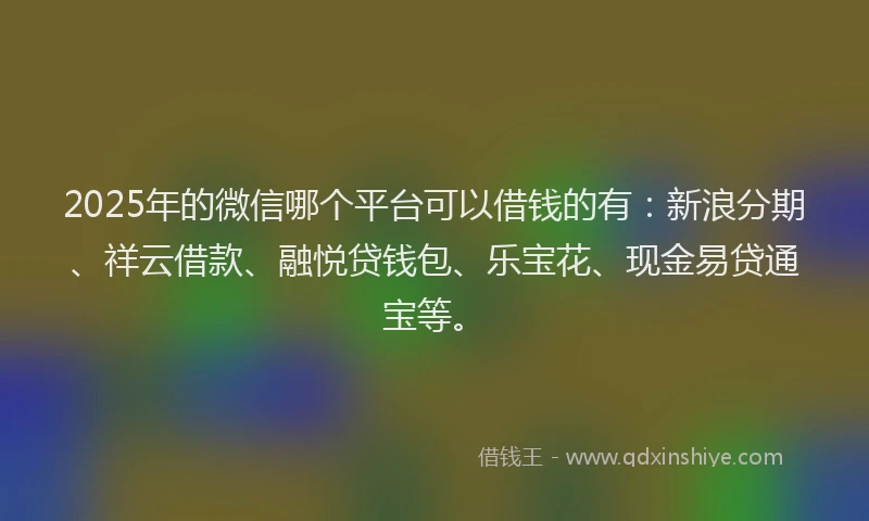 2025年的微信哪个平台可以借钱的有：新浪分期、祥云借款、融悦贷钱包、乐宝花、现金易贷通宝等。