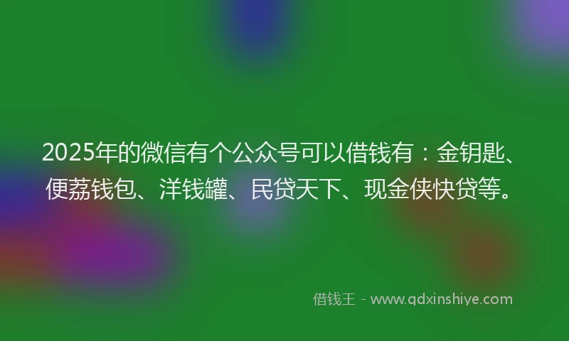 2025年的微信有个公众号可以借钱有：金钥匙、便荔钱包、洋钱罐、民贷天下、现金侠快贷等。