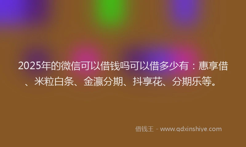2025年的微信可以借钱吗可以借多少有：惠享借、米粒白条、金瀛分期、抖享花、分期乐等。