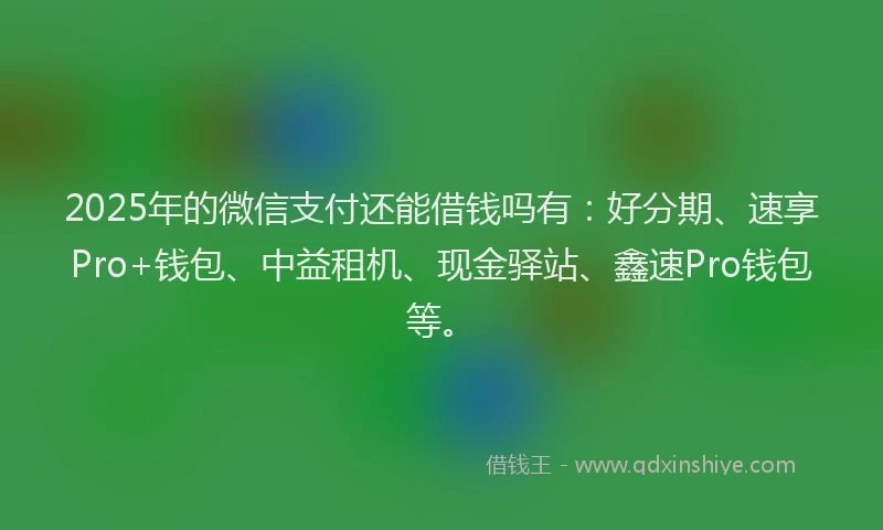 2025年的微信支付还能借钱吗有：好分期、速享Pro+钱包、中益租机、现金驿站、鑫速Pro钱包等。