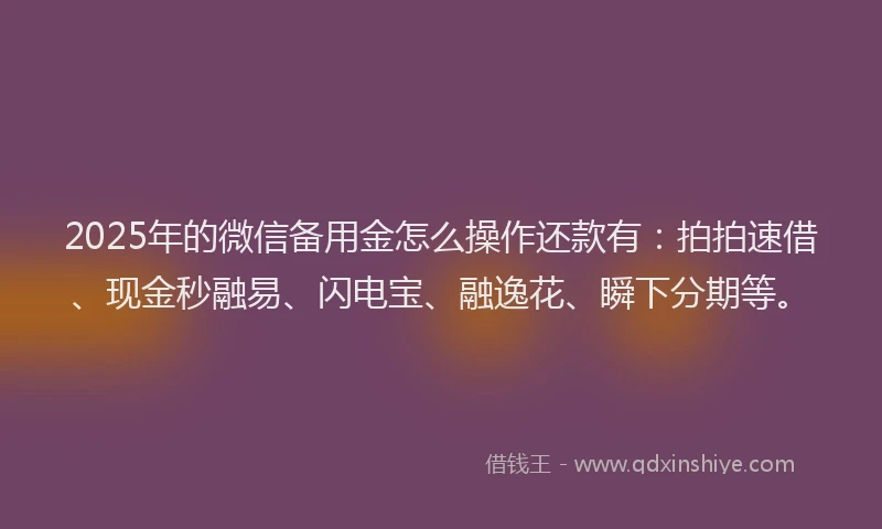 2025年的微信备用金怎么操作还款有：拍拍速借、现金秒融易、闪电宝、融逸花、瞬下分期等。