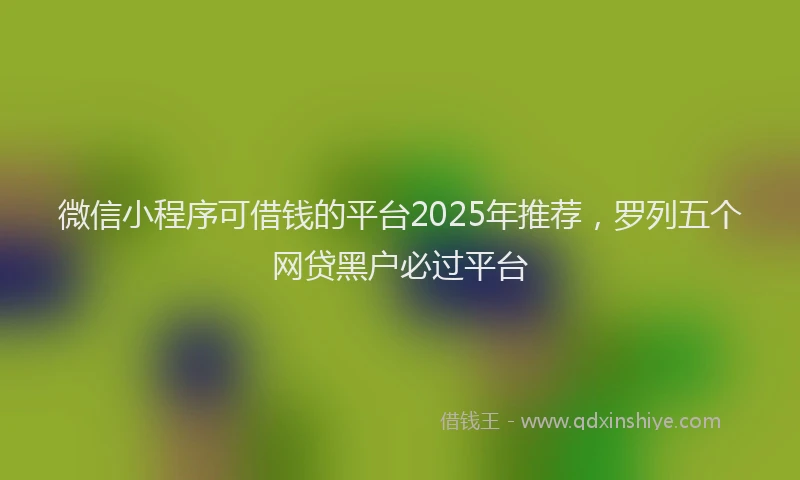 微信小程序可借钱的平台2025年推荐，罗列五个网贷黑户必过平台