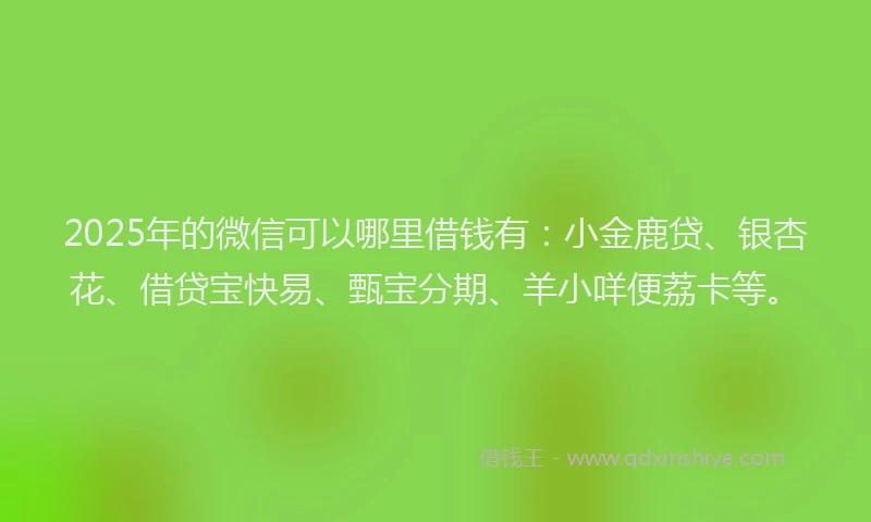 2025年的微信可以哪里借钱有：小金鹿贷、银杏花、借贷宝快易、甄宝分期、羊小咩便荔卡等。