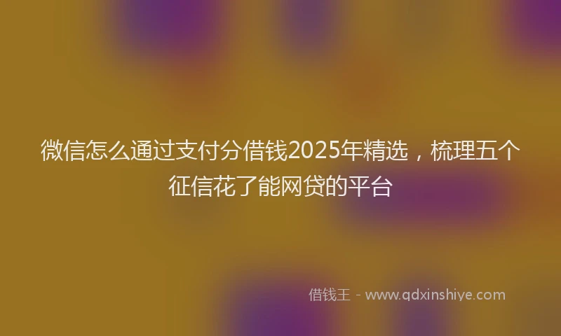 微信怎么通过支付分借钱2025年精选，梳理五个征信花了能网贷的平台