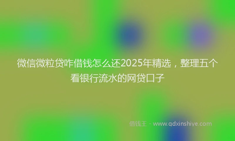 微信微粒贷咋借钱怎么还2025年精选，整理五个看银行流水的网贷口子