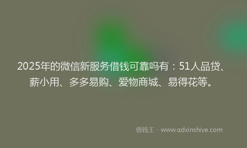 2025年的微信新服务借钱可靠吗有：51人品贷、薪小用、多多易购、爱物商城、易得花等。