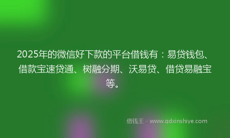 2025年的微信好下款的平台借钱有：易贷钱包、借款宝速贷通、树融分期、沃易贷、借贷易融宝等。