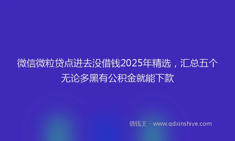 微信微粒贷点进去没借钱2025年精选，汇总五个无论多黑有公积金就能下款
