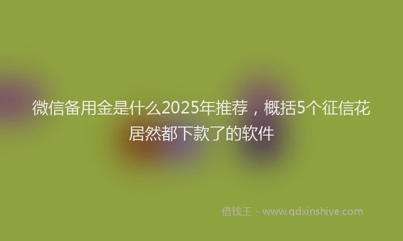微信备用金是什么2025年推荐，概括5个征信花居然都下款了的软件