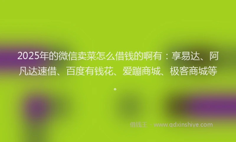 2025年的微信卖菜怎么借钱的啊有：享易达、阿凡达速借、百度有钱花、爱蹦商城、极客商城等。