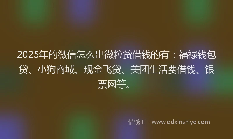 2025年的微信怎么出微粒贷借钱的有：福禄钱包贷、小狗商城、现金飞贷、美团生活费借钱、银票网等。