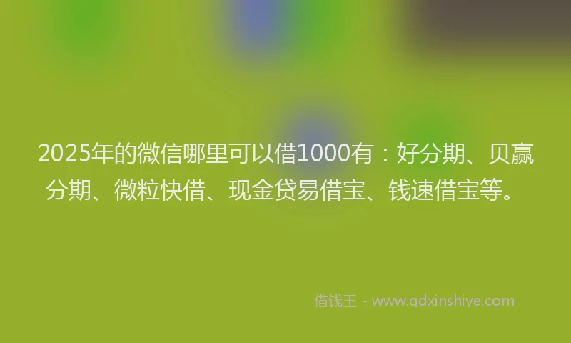 2025年的微信哪里可以借1000有：好分期、贝赢分期、微粒快借、现金贷易借宝、钱速借宝等。