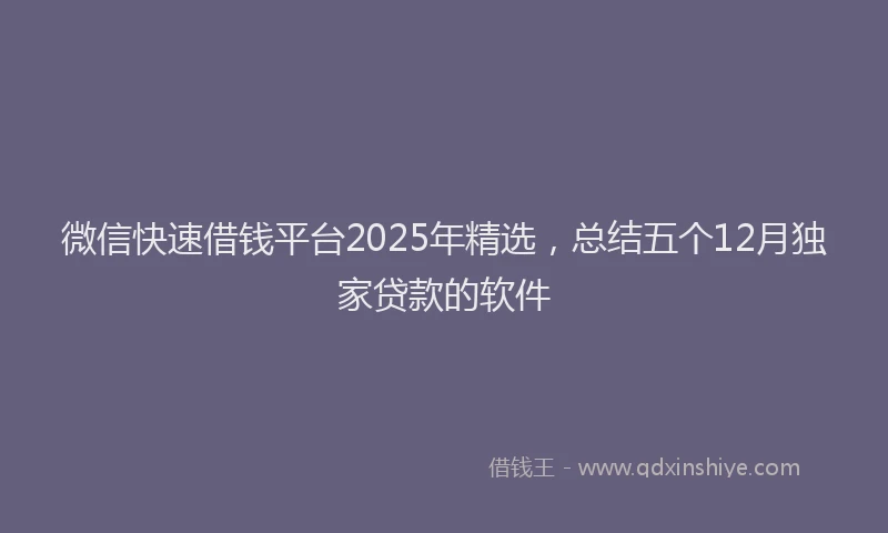 微信快速借钱平台2025年精选，总结五个12月独家贷款的软件