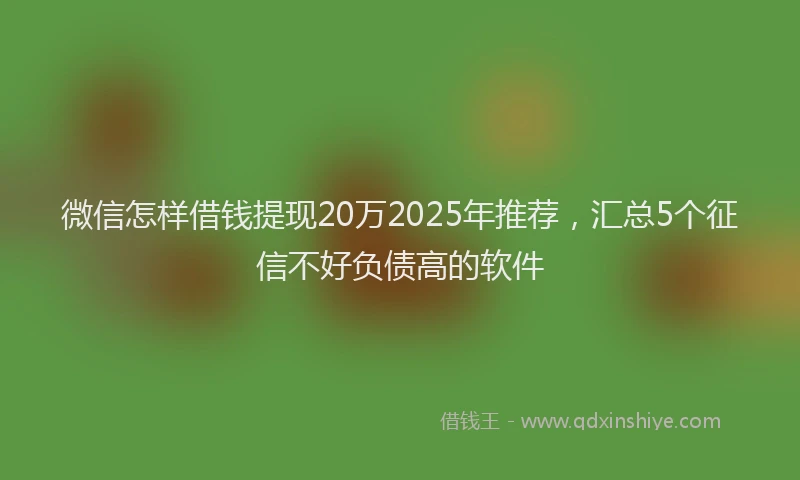 微信怎样借钱提现20万2025年推荐，汇总5个征信不好负债高的软件