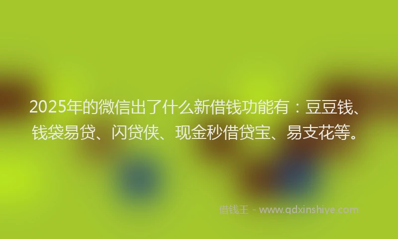 2025年的微信出了什么新借钱功能有：豆豆钱、钱袋易贷、闪贷侠、现金秒借贷宝、易支花等。