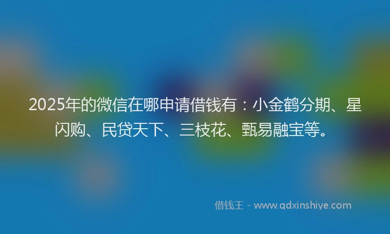 2025年的微信在哪申请借钱有：小金鹤分期、星闪购、民贷天下、三枝花、甄易融宝等。