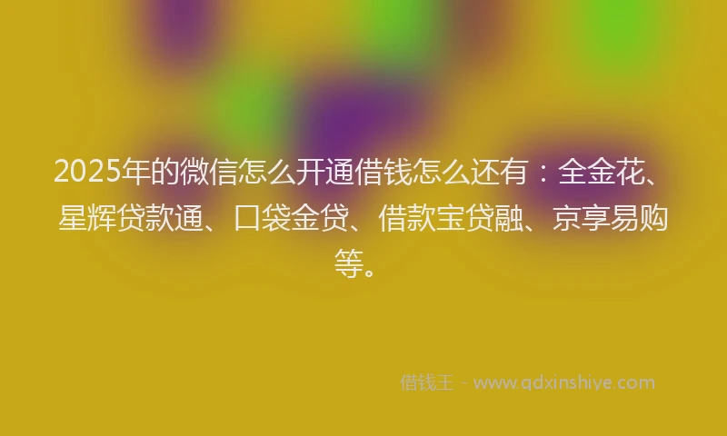 2025年的微信怎么开通借钱怎么还有：全金花、星辉贷款通、口袋金贷、借款宝贷融、京享易购等。
