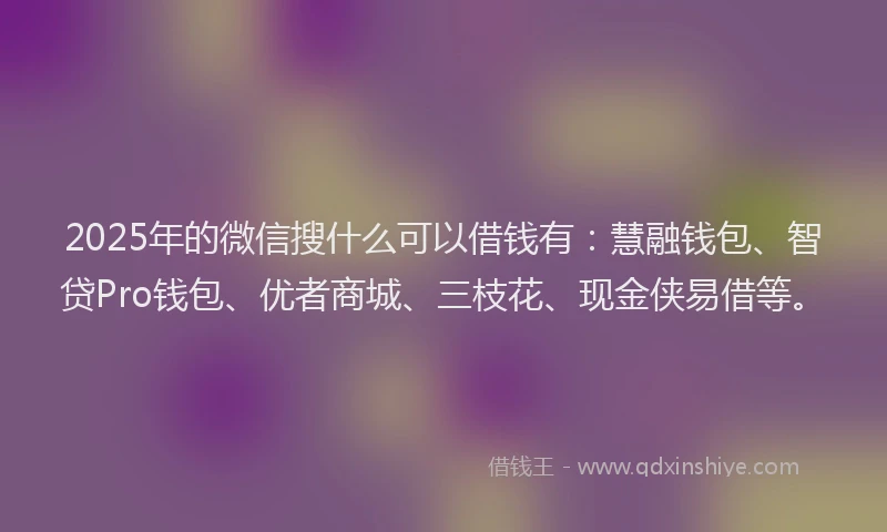 2025年的微信搜什么可以借钱有：慧融钱包、智贷Pro钱包、优者商城、三枝花、现金侠易借等。