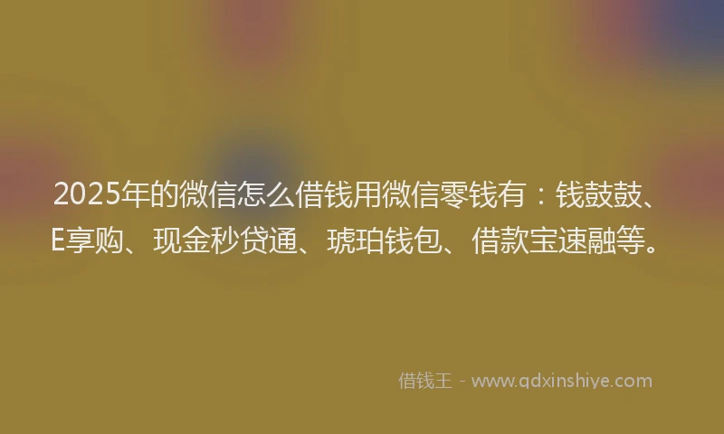 2025年的微信怎么借钱用微信零钱有：钱鼓鼓、E享购、现金秒贷通、琥珀钱包、借款宝速融等。
