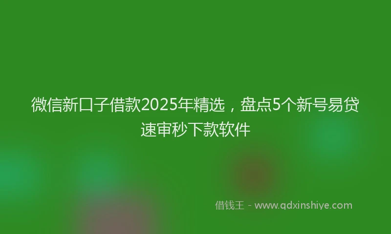 微信新口子借款2025年精选，盘点5个新号易贷速审秒下款软件