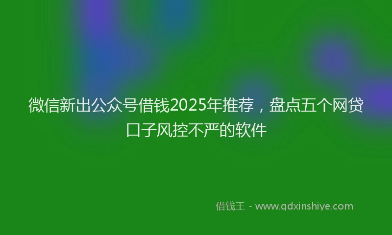 微信新出公众号借钱2025年推荐，盘点五个网贷口子风控不严的软件