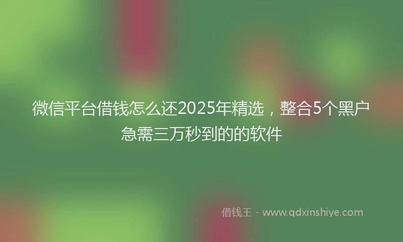 微信平台借钱怎么还2025年精选，整合5个黑户急需三万秒到的的软件