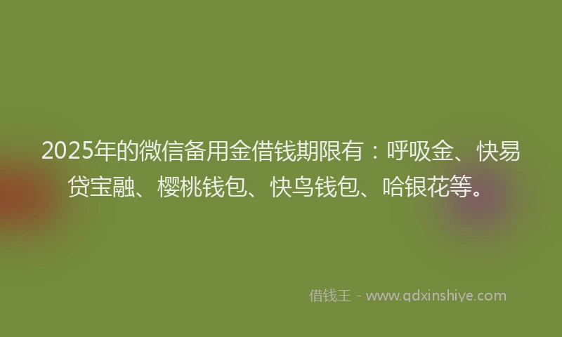 2025年的微信备用金借钱期限有：呼吸金、快易贷宝融、樱桃钱包、快鸟钱包、哈银花等。