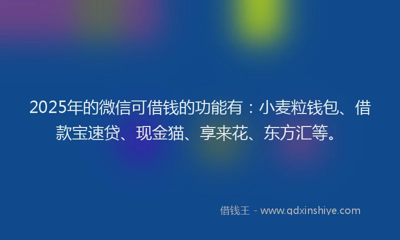 2025年的微信可借钱的功能有：小麦粒钱包、借款宝速贷、现金猫、享来花、东方汇等。