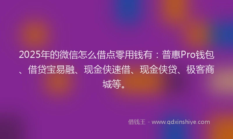 2025年的微信怎么借点零用钱有：普惠Pro钱包、借贷宝易融、现金侠速借、现金侠贷、极客商城等。