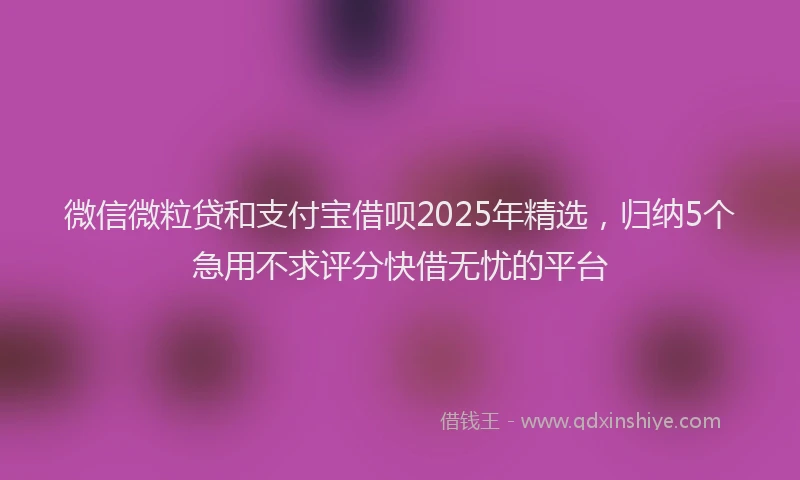 微信微粒贷和支付宝借呗2025年精选，归纳5个急用不求评分快借无忧的平台
