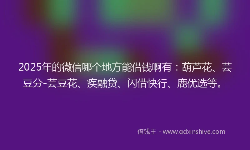 2025年的微信哪个地方能借钱啊有：葫芦花、芸豆分-芸豆花、疾融贷、闪借快行、鹿优选等。