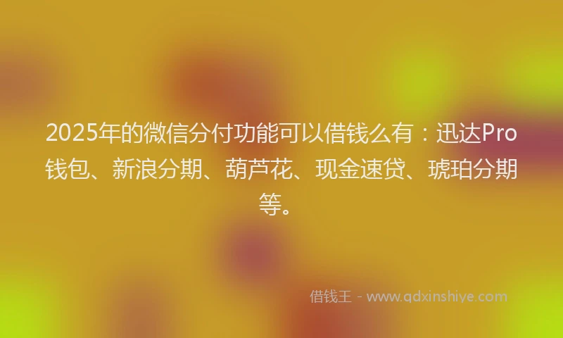 2025年的微信分付功能可以借钱么有：迅达Pro钱包、新浪分期、葫芦花、现金速贷、琥珀分期等。