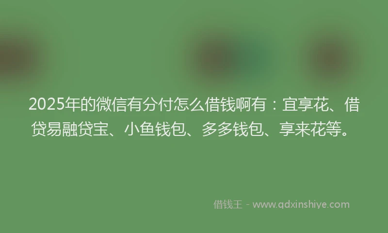 2025年的微信有分付怎么借钱啊有：宜享花、借贷易融贷宝、小鱼钱包、多多钱包、享来花等。