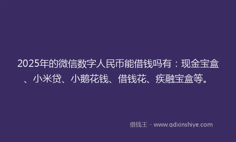 2025年的微信数字人民币能借钱吗有：现金宝盒、小米贷、小鹅花钱、借钱花、疾融宝盒等。