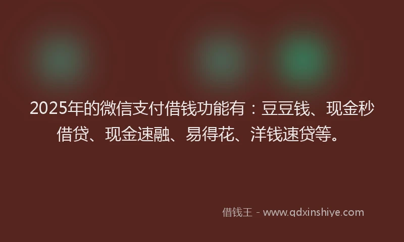2025年的微信支付借钱功能有：豆豆钱、现金秒借贷、现金速融、易得花、洋钱速贷等。